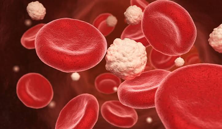 Healthy Blood Sugar Support