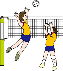 Download high quality beach clip art from our collection of 65,000,000 clip art graphics. Clipart Volleyball Kostenlos
