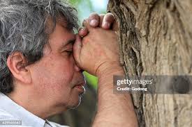 454 Prayer Folded Hands Stock Photos, High-Res Pictures, and Images