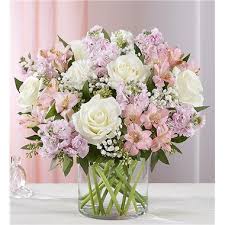 1 327 466 tykkäystä · 9 549 puhuu tästä. 1 800 Flowers Elegant Blush Bouquet Detroit Mi