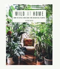 Bright indirect light is light that does not directly land on the leaves of your plant when sent from the sun. Houseplant Lighting 101 Martha Stewart