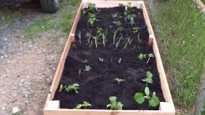 28 best diy raised bed garden ideas 13 unique beds above ground box plans how to build a the waist high planter boxes 7 kits that you can. Dyi Building An Above Ground Planter Box Youtube