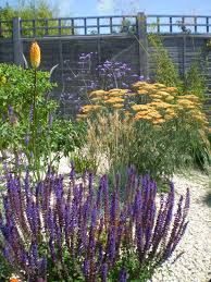 Purple Orange Border One Of My Own Designs First Summer Of Planting Garden Family Garden Purple Yellow