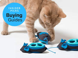 The Best Cat Feeders To Help Your Cat Lose Weight