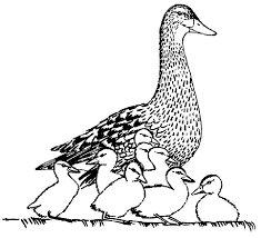 If your child loves interacting. Duckling Coloring Pages Coloring Picture Hd For Kids Fransus Coloring Library