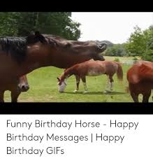 Adorable horses and foals romp to the birthday song to brighten your special day!thanks to katieskindaweird for video clips. Horse Happy Birthday Gif