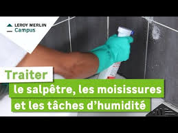Maybe you would like to learn more about one of these? Produit Anti Moisissure Leroy Merlin Gamboahinestrosa
