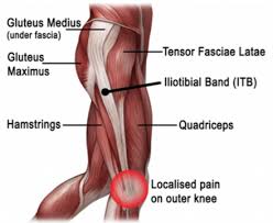 When a muscle contracts, the tendon pulls on peroneus longus: The Secret To Resolving It Band Syndrome Using Thai Massage Thai Sport Bodyworks