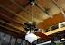 Hunter Original Ceiling Fan White