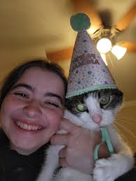 Walmart drivers obeying speed limits in residential areas