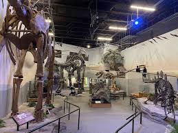 The fantasy that drives sleepovers and fires the imagination of every museum visitor is at the very heart of museum alive 3d: Museum Of Ancient Life Dinosaur Museum At Thanksgiving Point