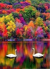 Top 10 Most Beautiful Countries In The World Topteny Com Beautiful Landscapes Beautiful Nature Nature Pictures