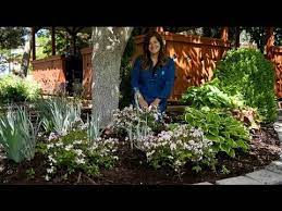 Yuki Cherry Blossom Deutzia Garden Answer Youtube Rock Garden Landscaping Garden Plants