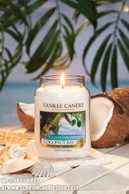Yankee Candles Brought To You By Www Scentedcandleshop Com Yankee Candle Are Known For Their Dedication To High Qu Yankee Candle Candles Yankee Candle Scents