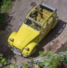Image result for Jaune Soleil 2011 Citroen