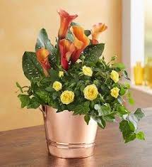 Checkout our 44 flowers coupon codes including 5 codes and 39 deals. 20 Flowers Ideas Flowers Flower Delivery 800 Flowers