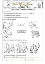 Calameo Animales Segun Su Nacimiento 36 En 2021 Ciencias De La Naturaleza Ciencia Natural Libro De Espanol