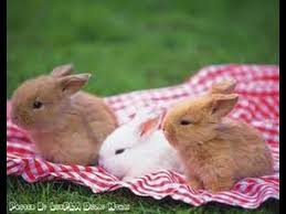 อัปเดตล่าสุด 5 ตุลาคม 2558 เวลา 13:40:57 16,374 อ่าน à¸„à¸¥ à¸›à¸ª à¸•à¸§ à¸™ à¸²à¸£ à¸à¹†à¸„à¸¥ à¸›à¸ª à¸•à¸§ à¸®à¸²à¹† à¸£à¸§à¸¡à¸„à¸¥ à¸›à¸à¸£à¸°à¸• à¸²à¸¢à¸à¸§à¸™à¹† 3 Youtube