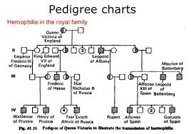 Below Is A Pedigree Chart Illustrating The Clutch Prep