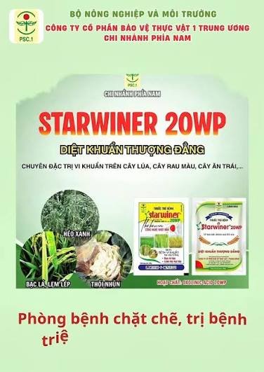 Starwiner 20WP