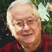 Albert Pavlicek Obituary