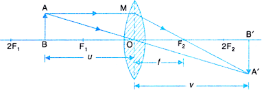 Maybe you would like to learn more about one of these? Define Linear Magnification Produced By A Lens Deduce Expression For The Magnification For I Convex Lens And Ii Concave Lens In Terms Of U And V From Science Light Reflection And