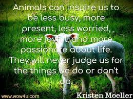 33 Animal Quotes Inspirational Words Of Wisdom