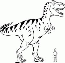 We did not find results for: Las Mejores 12 Ideas De Dinosaurio Rex Dibujo Dinosaurio Rex Dibujo Dinosaurios Rex Dinosaurios Animados