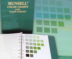 Plant Color Charts Determine The Color Of Plant Tissues
