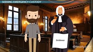 Once you've considered your options and familiarized yourself with the laws in your state, it's time to file a petition for custody. Emergency Custody Reasons Motions Video Lesson Transcript Study Com