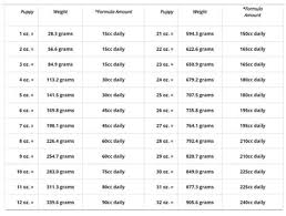 We did not find results for: Hand Rearing Puppies Instructions How To Hand Feed Puppies