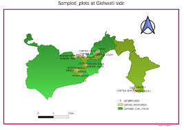 Image result for Peddiea rapaneoides