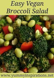 Vegan Broccoli Salad Recipe Easy Vegetarian Salad Recipes Recipe Vegan Broccoli Salad Broccoli Salad Recipe Easy Vegetarian Salad Recipes