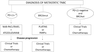 Breast cancer treatment triple negative. How I Treat Metastatic Triple Negative Breast Cancer Esmo Open