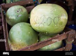 Prices scrawled onto large melons in a wood basket in the market in Juayua  on the rutas de la flores in El Salvador Stock Photo - Alamy