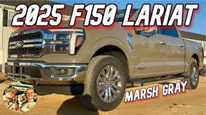 Image result for Brown 2025 Ford