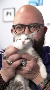 Common Cat Care Mistakes to Avoid