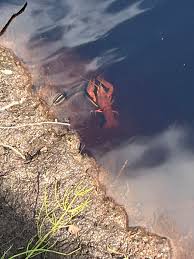 Image result for site:byggahus.se damm