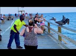 Hermosa beach & pier live. Kure Beach Pier Evening Tour Kure Beach Nc Youtube