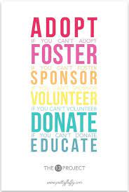 See how adults can help young people in foster care respond to trauma. Adoption And Foster Care The Fosters Adoption Rescue Dogs