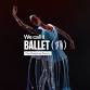 We call it Ballet: Sleeping Beauty Dance & Light Show event image