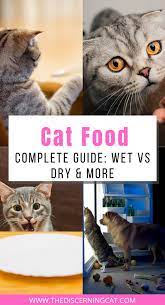 Cat Food Complete Guide Wet Vs Dry More Cat Feeding Guide Cat Food Cat Feeding