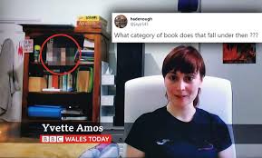 William amos mp (born december 4, 1974) is a canadian lawyer and politician serving as the member of parliament for the riding of pontiac, quebec. Twitter Was Quick To Spot A Sex Toy On The Shelf Of This Guest In This Viral Bbc Interview Culture