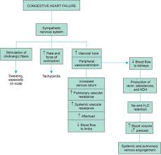 Pathophysiology Of Congestive Heart Failure Congestive