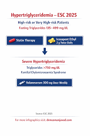 Image result for Hypertriglyceridemia