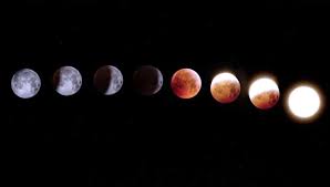 Check spelling or type a new query. Gerhana Bulan Total Bisa Disaksikan Besok 26 Mei 2021 Times Indonesia