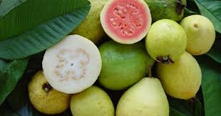 Caribfruits Goyave Fruits Tropicaux Fruits Exotiques Goyave Fruit Goyave