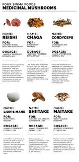 Uses in asian traditional medicine, the mushroom is prepared as a tea. Mushroom Benefits