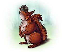 How to draw von scott robertson bei thalia entdecken How To Draw Animals Small Rodents And Their Anatomy