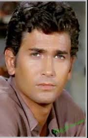 900+ Michael Landon ideas